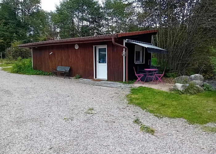 Marlynn ג'רארדמר